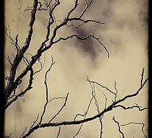 The darkness that surrounds.. by Cordelia
