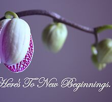 Here's To New Beginnings by AuntDot