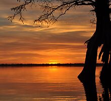 Closing a Chapter by Michele Conner