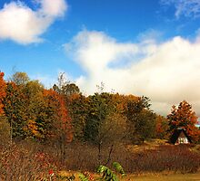 Fall at our property My roots by mikej