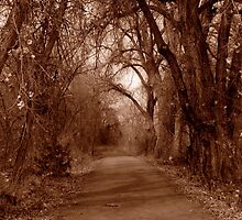 Lonely Walk - Arkansas River Walk by Josh Hadley