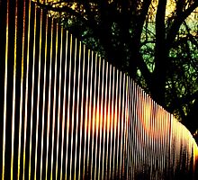 Iron Backbone by Thomas Stevens