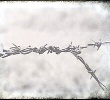 Heart Strings by JodieT