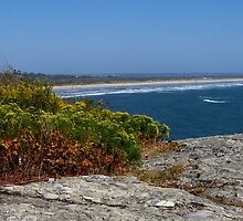 Atlantic Ocean from Purgatory Chasm by Nancy Richard