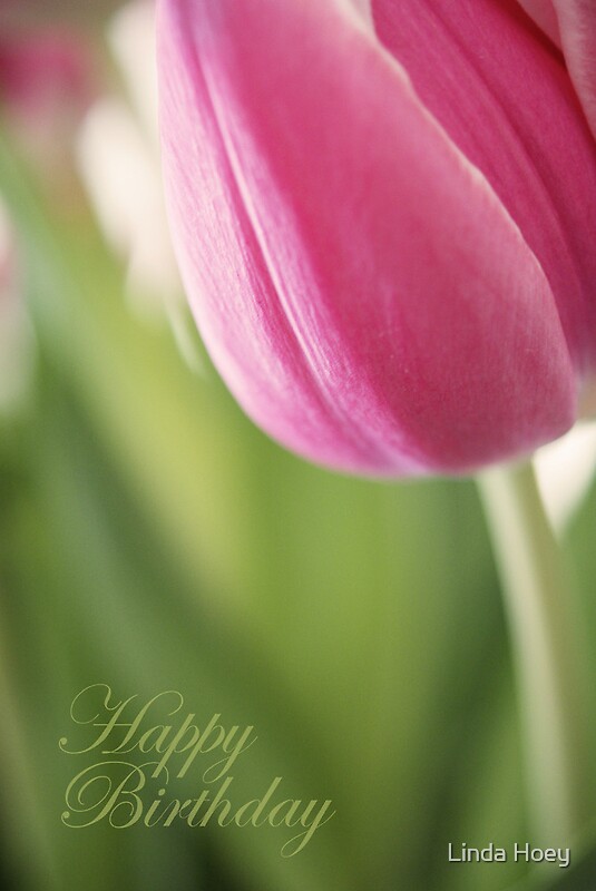 “Tulip Birthday Card” Greeting Cards & Postcards by Linda Hoey | Redbubble