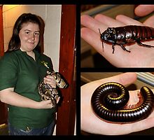 Creature Collage by Michaela1991