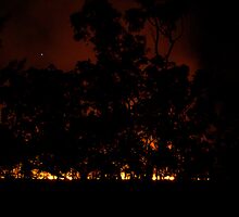 Wild Fire by Caine Mazoudier