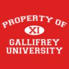 Property of Gallifrey University - 11th Doctor by jelitan