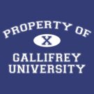 Property of Gallifrey University - 10th Doctor by jelitan