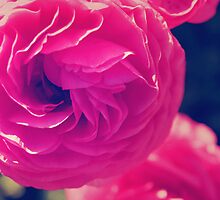 Kisses Like Candy by Laurie Search