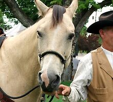 Sundance the Horse by Jan Tribe