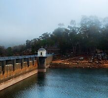 "Mundaring In Mist" by Heather Thorning