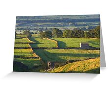 Morning Light near Askrigg - Yorkshire Dales Greeting Card