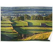 Morning Light near Askrigg - Yorkshire Dales Poster