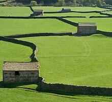 Gunnerside Barns - The Yorkshire Dales by Dave Lawrance