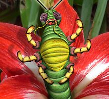 Measuring the Amaryllis by GolemAura