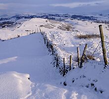 Winter on The Helm by Dave Lawrance