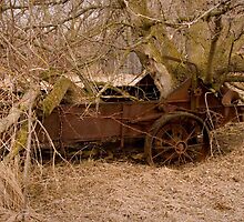 Abandoned Manure Spreader by Davidlphoto