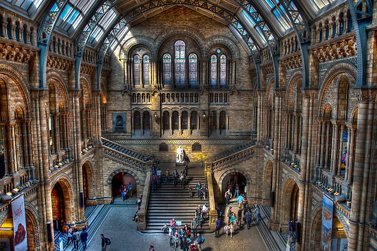 The Natural History Museum 21