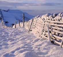 Winter on The Helm - Cumbria by Dave Lawrance