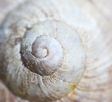 Snailhouse by RosiLorz