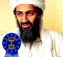 Hide & Seek Champion by Darren Stein