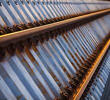Sunlight On Rails by Chris Paddick