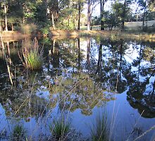 Dam Reflections by Lunaria