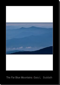 Blue Mountain Greeting Cards