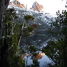 Reflection of Cradle Mountain in Dove Lake by marcb