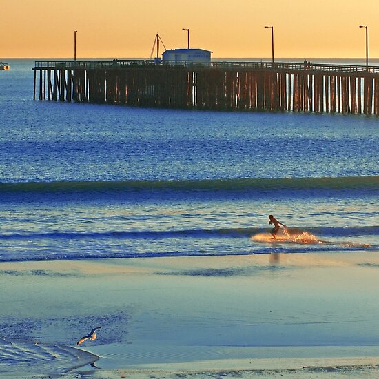 California+beach+surfing