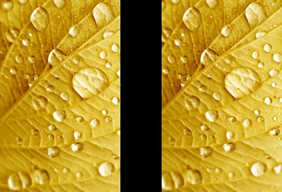 Images Of Raindrops. Raindrops by monocotylidono