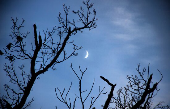 waxing crescent moon. Waxing Crescent Moon by Jason