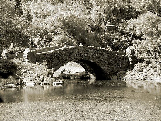 sunbathers in central park ny. central park new york ny.