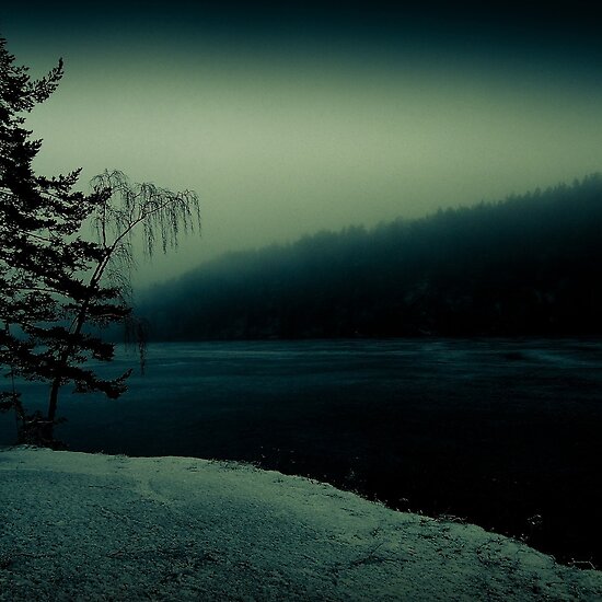 work.2614505.4.flat,550x550,075,f.midwinter-iii.jpg
