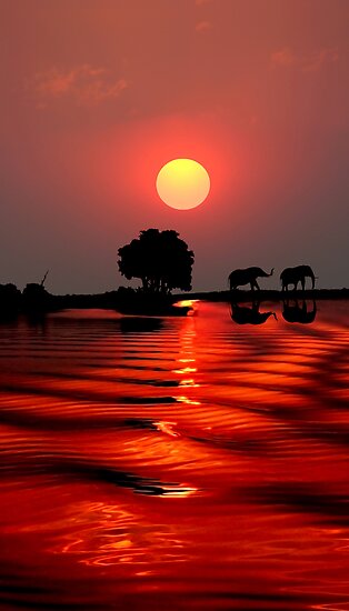 SUNSET WITH ELEPHANTS - BOTSWANA by Michael Sheridan