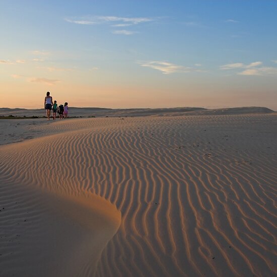 beach sand. Birubi Beach Sand Dunes by