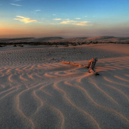 beach sand dunes. Sunset at Birubi Beach Sand