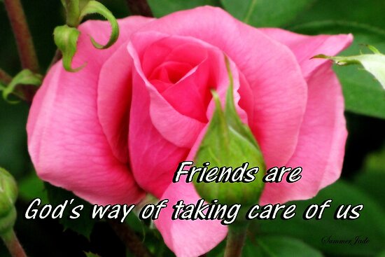 thank you quotes for a friend. Thank You for Being a Friend