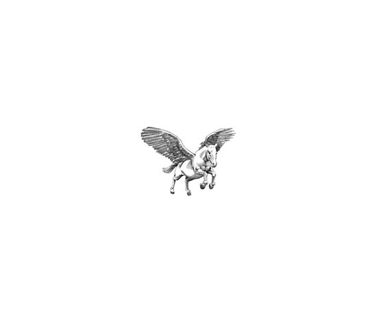 Pegasus tattoo design by Alleycatsgarden