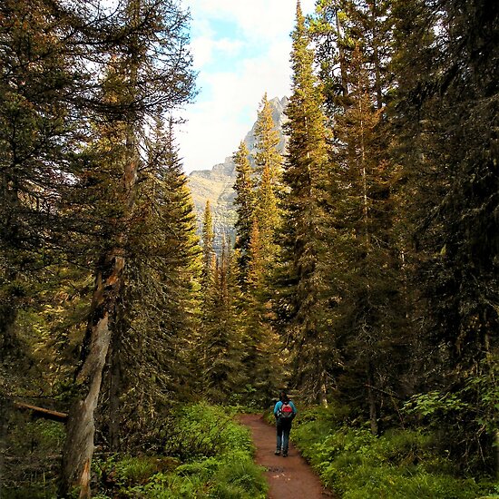 glacier national park montana pictures. Glacier National Park,