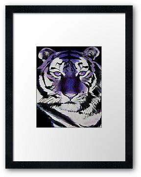Sumatran+tiger+facts