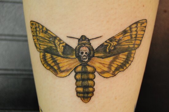 Death Head Hawk Moth "Death Moth" Tattoo belongs to the following groups: