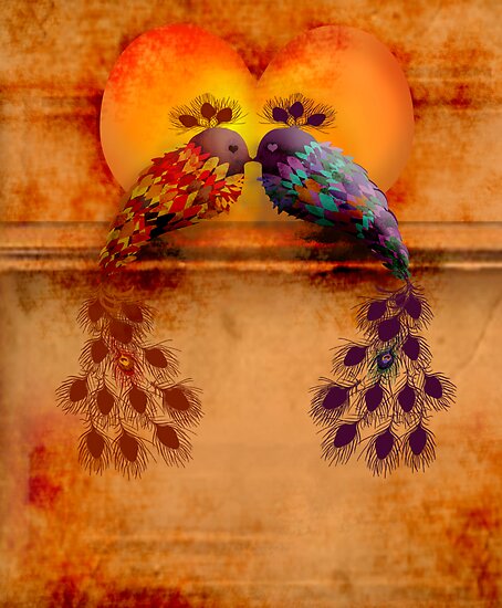 images of lovebirds. Love Birds by Karin Taylor