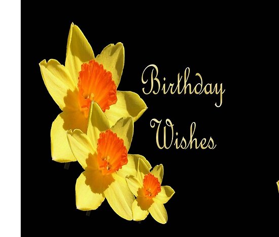 birthday wishes. Daffodil - Birthday Wishes by