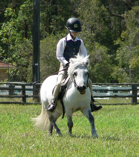 My horses (plz check out my humans so you can see their owners) Work.4438270.1.flat,550x550,075,f.ridden-shetland-pony-stallion-nabiac-show