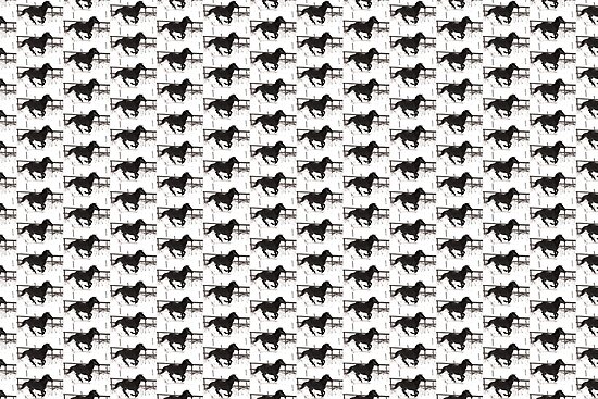 black and white pictures of horses running. Black and White running horse