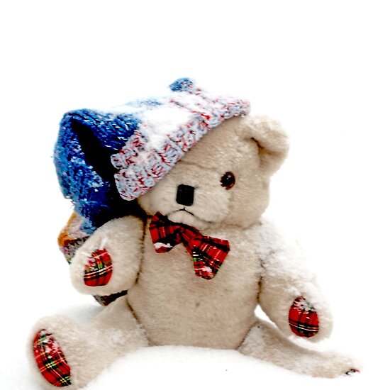 red plaid tie. White bear with red plaid tie