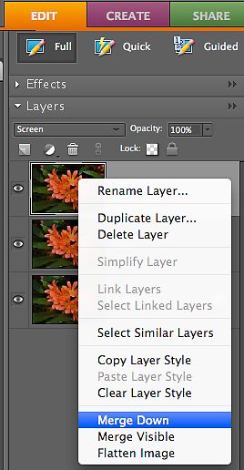 OE Tutorial Image 24