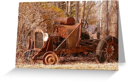 Perhaps years ago this old car was stripped down and used as a farm tractor 